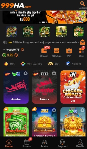 999HA Game