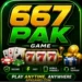 667PAK Game Download